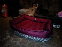 Водонепроникний лежак для собак та котів EGO Bosyak XS 50x45 Хакі (Ортопедична лежанка для собак до 4 кг) фото від покупців 6