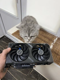Видеокарта ASUS DUAL RX 7600 EVO OC 8G фото от покупателей 11