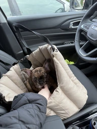 Сумка-переноска Waterproof для собак і кішок автомобільна переноска автокрісло для собак 45 х 30 х 37 см Темно-коричневий