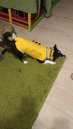 Пуховик Noble Pet Bobby Bravery Yellow B4130/2XL (B4130/2XL)