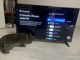 LED-телевізор Haier 70 дюймів чорний 4K Smart TV Android 11 (682382) фото від покупців 5