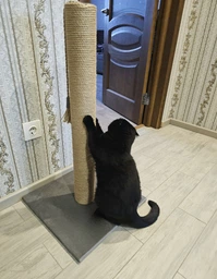 Высокая кошачья когтеточка столбик для кошек котика 82см серая фото от покупателей 4