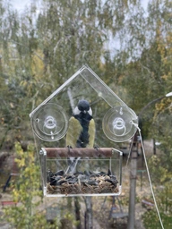 Кормушка для птиц на окно House_for_birds "Теремок" фото от покупателей 4