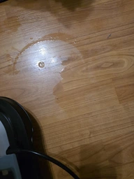 Пылесос моющий Karcher SE 2 Spot Care (1.081-420.0) с насадкой для очищения обуви фото от покупателей 4