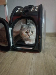 Сумка переноска mini Pet прозора для домашніх тварин (кішок, собак, кроликів і ін.) (Код: IBH010B)