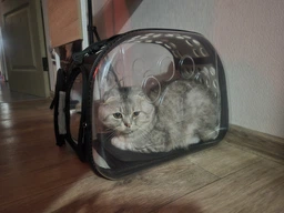 Сумка переноска mini Pet прозора для домашніх тварин (кішок, собак, кроликів і ін.) (Код: IBH010B) фото від покупців 2