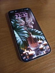 Защитное стекло ACCLAB 9H для Apple iPhone 15/iPhone 16 Black (1283126575228)