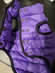 Курточка для собак Airy Vest ONE размер L 55 Салатовая (20745Collar) фото от покупателей 11