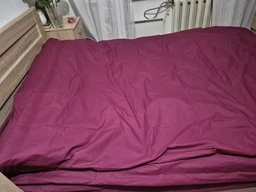Підковдра Moon&Star Бязь Gold Люкс Light Brown King Size 220 x 240 см (MS-870000324)