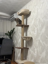 Дряпка для кота Мур-Мяу Дана 50х50х210см для кішок у сизалевій мотузці Коричнево-бежевий МТ фото від покупців 1