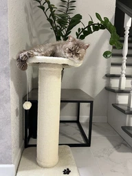 Дряпка Lucky Pet сезаль "Прана Максі", білий, 38х38х77 см фото от покупателей 1