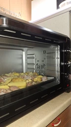 Електрична піч TEFAL Optimo OF484811 фото від покупців 2