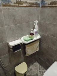 Держатель туалетной бумаги из пластика MENON XS-387 White