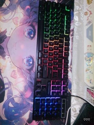 Клавиатура проводная GamePro GK296 USB RGB Black фото от покупателей 8
