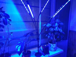 Фітолампа світлодіодна LED Plant Grow Light на 4 лампи для росту рослин на прищіпці фітосвітильник для кімнатних квітів, розсади