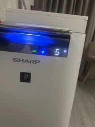 Климатический комплекс Sharp KC-G60EUW