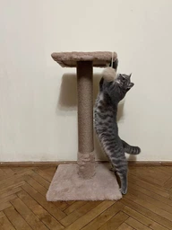 Когтеточка для кота дряпка Мур-Мяу Лидер 37х37х74 см для кошек в джутовой веревке Коричневый фото от покупателей 17