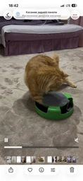 Интерактивная игрушка с когтеточкой KRN для кошек кота, мышка в ловушке, Поймай мышь