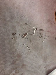 Точилка ручна кухонна Work Sharp Kitchen Pull Through Sharpener WSKTNPTS-I фото від покупців 2