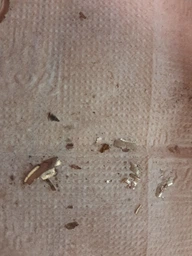 Точилка ручна кухонна Work Sharp Kitchen Pull Through Sharpener WSKTNPTS-I фото від покупців 1