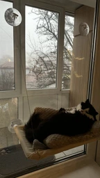 Лежанка для кота на окно подвесная гамак для кошки на присосках (ОL-152925) фото от покупателей 13
