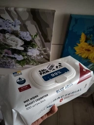 Упаковка влажных салфеток для рук и тела Сніжна панда Antibacterial 99.9% Green Fresh 100 шт х 12 пачек (4820183972149) фото от покупателей 6