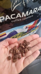 Кофе в зернах PACAMARA COLOMBIA SUPREMO ANTIOQUIA натуральный жареный моносорт Арабика 1 кг (4820287550076) фото от покупателей 2