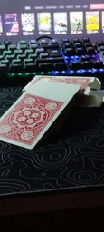 Карты USPCC Tally-Ho Original Circle Back