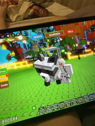 Енот (Raccoon) Pet - Roblox (Grow A Garden)
