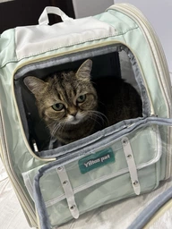 Рюкзак переноска для кота кошки котенка собаки до 8 кг с прозрачным окошком серый (002289) фото от покупателей 5