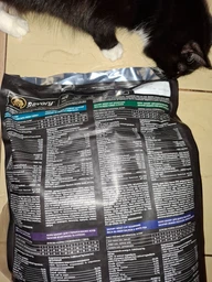 Сухой корм для котов Savory Adult Cat Steril Fresh 8 кг ягненок и курица фото от покупателей 7