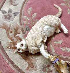Костюм для котов (кошек) флисовый Нордик M Голубой фото от покупателей 1