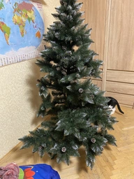 Елка новогодняя пышная Элита с шишками 3,0 м (искусственная ель из безвредного огнеупорного материала с сертификатом!) фото от покупателей 5