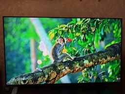 Телевизор Samsung MiniLED 55" QE55QN70FAUXUA фото от покупателей 7
