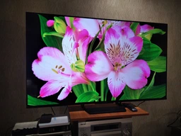 Телевизор Thomson MiniLED 50" 50MG7C15 фото от покупателей 19