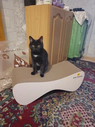 Когтеточка-лежанка для кошек Say Meow Cloud гофрокартон, 61х21х24 см (8040190102001) фото от покупателей 7