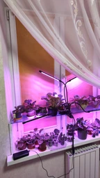Фітолампа на 4 лампи світлодіодна LED для росту рослин на прищіпці фітосвітильник для кімнатних квітів, розсади, орхідей фіто лампа фото від покупців 2