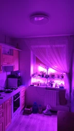 Фітолампа на 4 лампи світлодіодна LED для росту рослин на прищіпці фітосвітильник для кімнатних квітів, розсади, орхідей фіто лампа фото від покупців 3