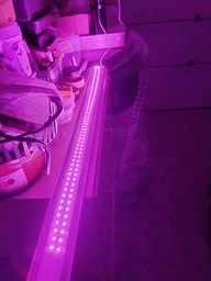 Светодиодная ФитоЛента для Комнатных Растений с 5V USB 2835 Фитолампа Полный Спектр от GrowLight 1 Метр (L363F) фото от покупателей 3