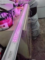 Светодиодная ФитоЛента для Комнатных Растений с 5V USB 2835 Фитолампа Полный Спектр от GrowLight 1 Метр (L363F)