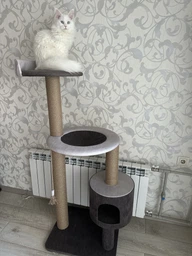Устойчивая когтеточка для котиков, кошки с домиком гамаком 140*60*50см фото от покупателей 3