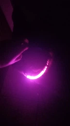 Светодиодный, водостойкий LED ошейник для собак с зарядкой USB, 35 см, размер S (зеленый) фото от покупателей 11