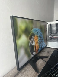 Монитор 27" MSI MAG 275QF E20 -- 2K QHD Rapid IPS / 200Hz / 0,5 мс GtG / 8-Bit + FRC / sRGB 115% / Adaptive-Sync / AI Vision / HDR Ready фото от покупателей 9