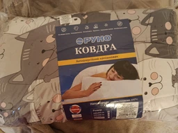 Одеяло Руно зимнее двуспальное 172x205 см антиаллергенное волокно Grey Cat (Р316.52СЛУ_Grey Cat) фото от покупателей 10