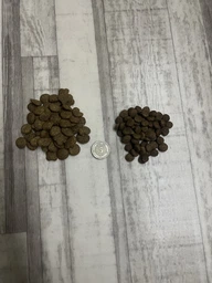 Nutra 5 Stars Easy Cook CAT 10 кг – Сухий корм для котів (М’ясне асорті)