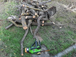 Аккумуляторная цепная пила Procraft PKA42Li + 1акб 4Аг Turbo + ЗE charger20/1 + масло цепи фото от покупателей 2