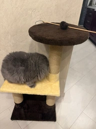 Когтеточка для кота дряпка Мур-Мяу Аккорд 44х30х87 см для кошек в сизалевой веревке Серо-синий фото от покупателей 5