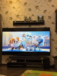 Телевизор Samsung MiniLED 55" QE55QN70FAUXUA фото от покупателей 2