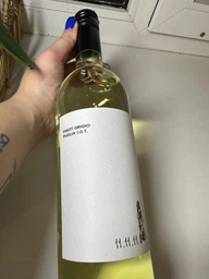 Вино 11.11.11. Puglia IGT Pinot Grigio белое сухое 0.75 л (8005890805942) фото от покупателей 5