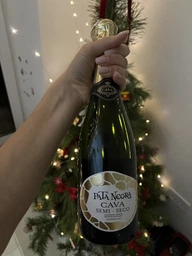 Вино игристое Pata Negra Cava Semi Seco 0.75 л 11.5% (8410261114026)